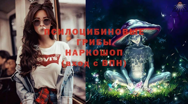 apvp Аркадак