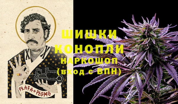 apvp Аркадак