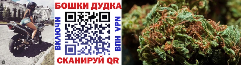 Канабис индика  Оса 
